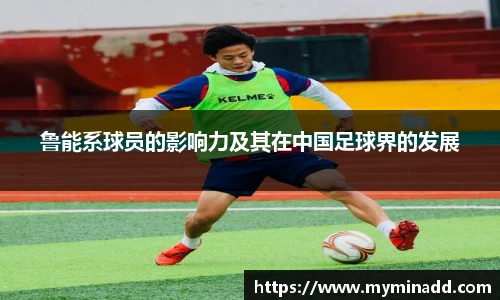 鲁能系球员的影响力及其在中国足球界的发展